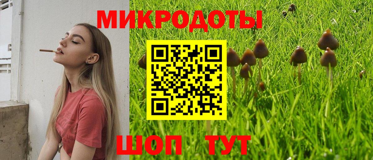 Бугульма  Галлюциногенные грибы MAGIC MUSHROOMS  Вход с VPN 